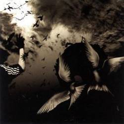 Pierrot (JAP) : Hello